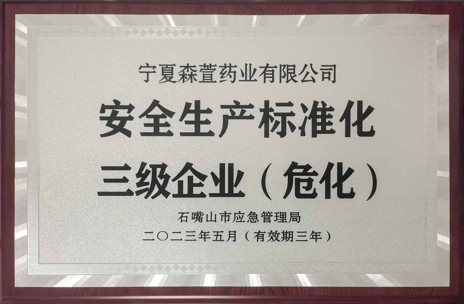 宁夏森萱药业有限公司 安全生产标准化三级企业(危化)